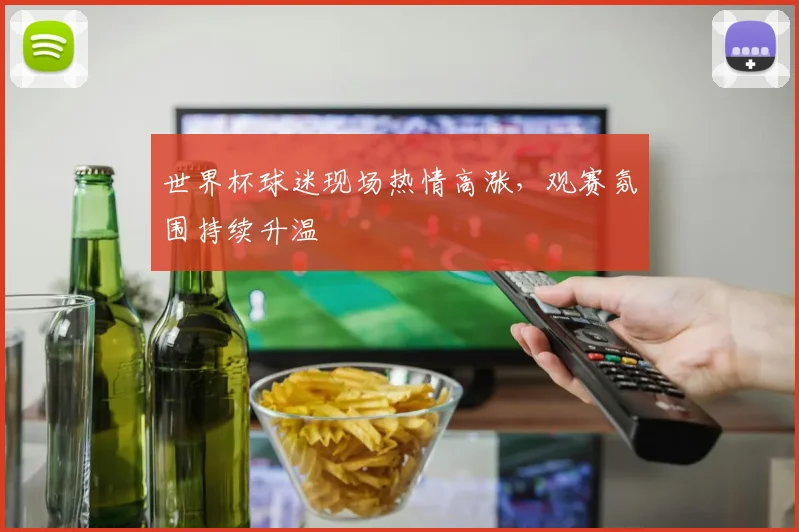 世界杯球迷现场热情高涨，观赛氛围持续升温