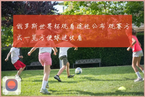 俄罗斯世界杯观看途径公布 观赛方式一览方便球迷收看