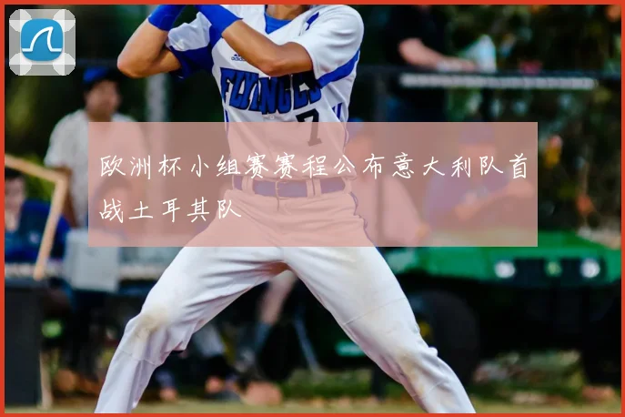 欧洲杯小组赛赛程公布意大利队首战土耳其队